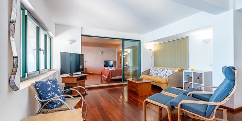 Spacious Living Room Vacation Rental Apartment