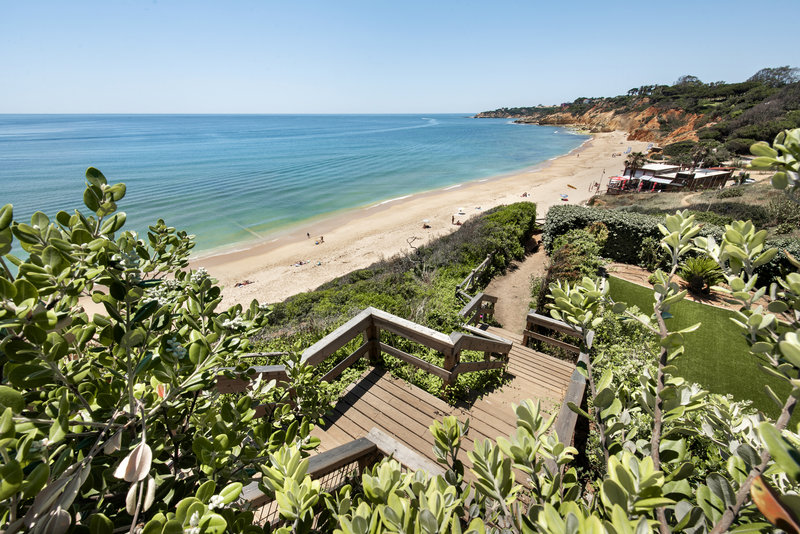 Luxury 8 Bedroom Ocean Front Villa Olhos D'Agua