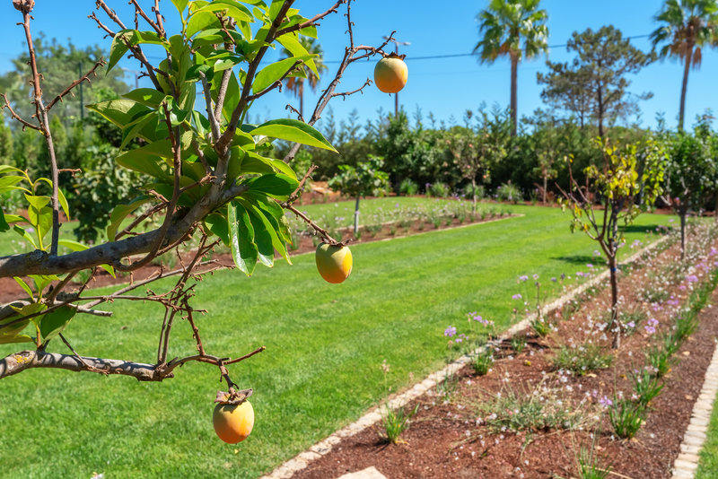 Luxury 6 Bedroom Villa with Private Pool in Vale do Lobo