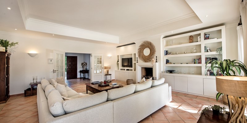 Modern Spacious Living Room Natural Light