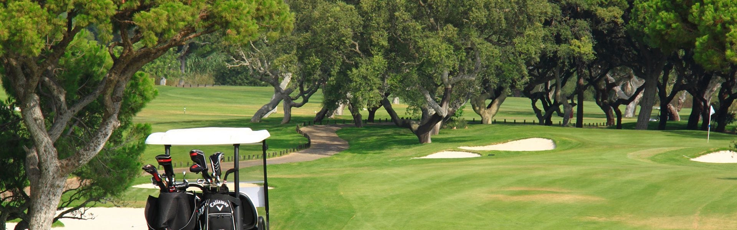 Algarve Golf Villa Rentals