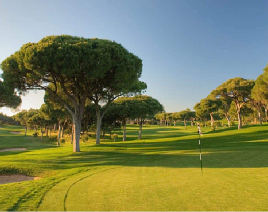 Old Golf Course In Vilamoura