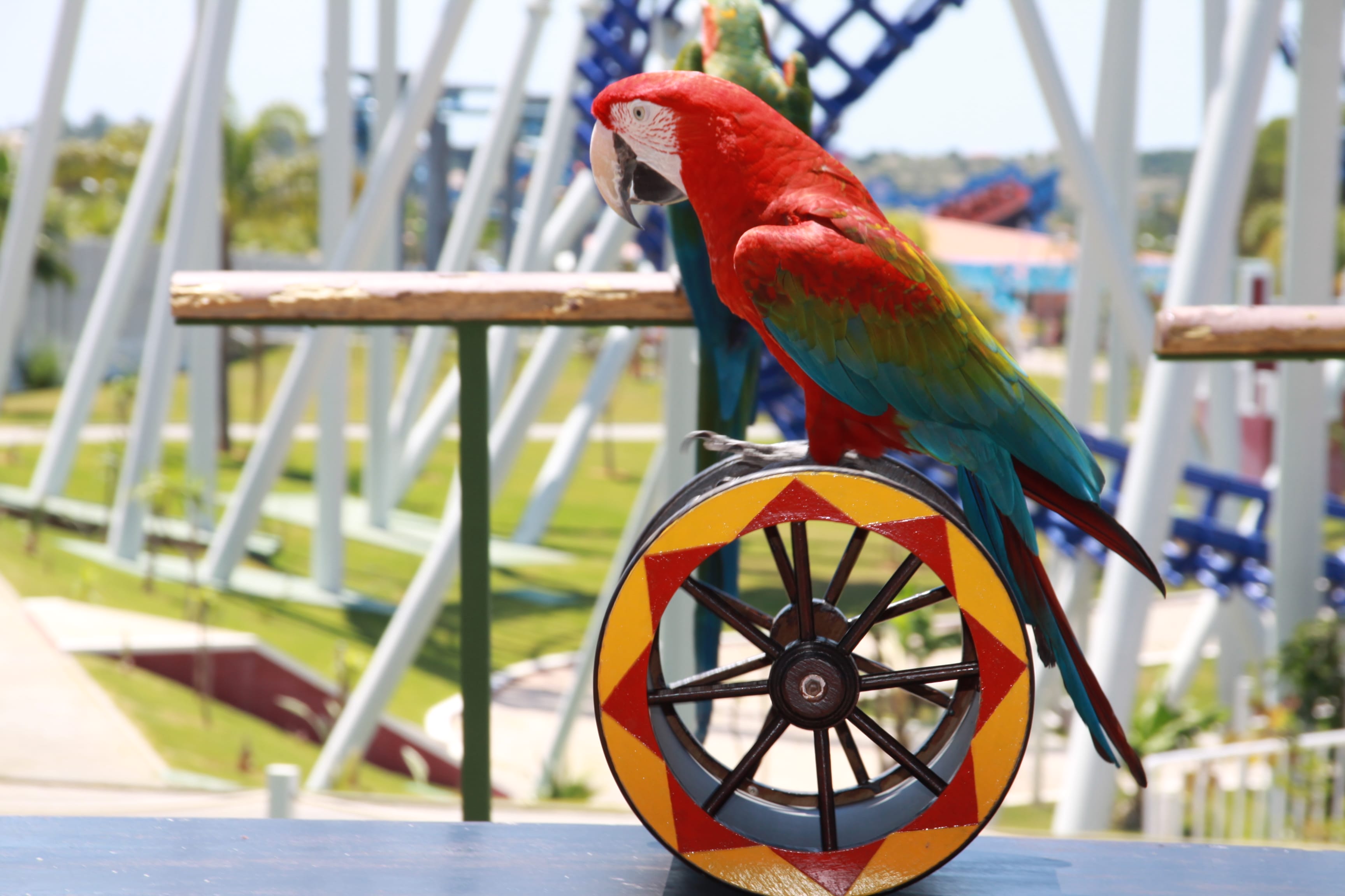 Theme Park In The Algarve