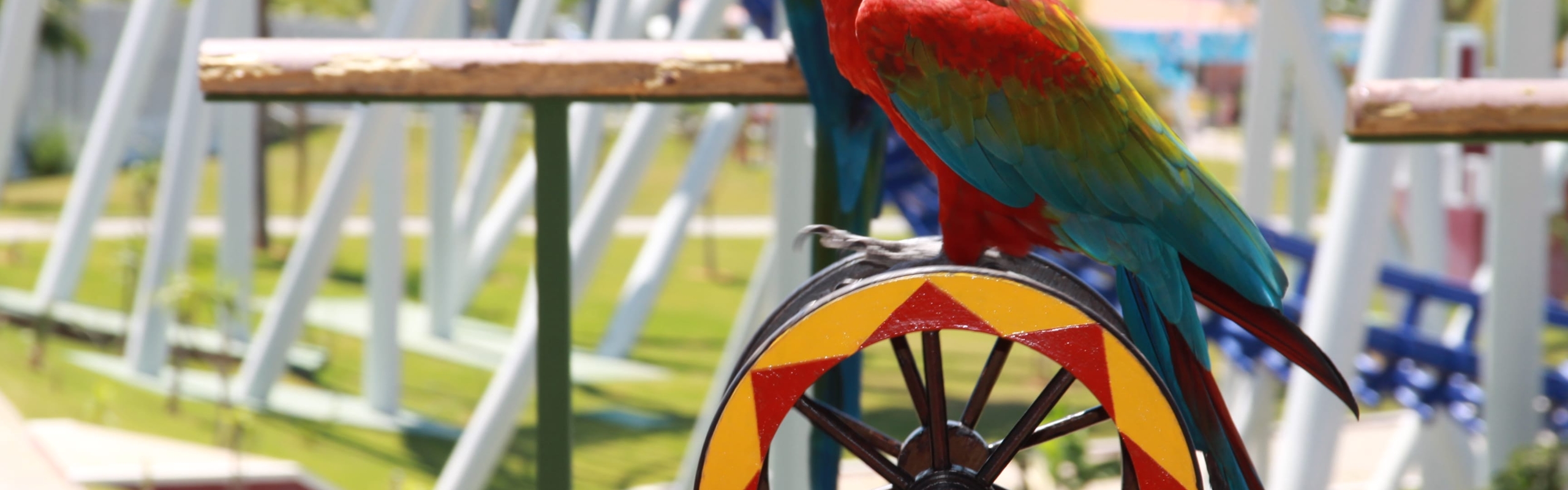 Theme Park In The Algarve