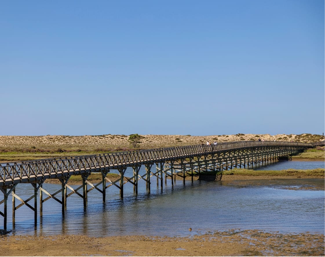 Quinta Do Lago Holiday Makers
